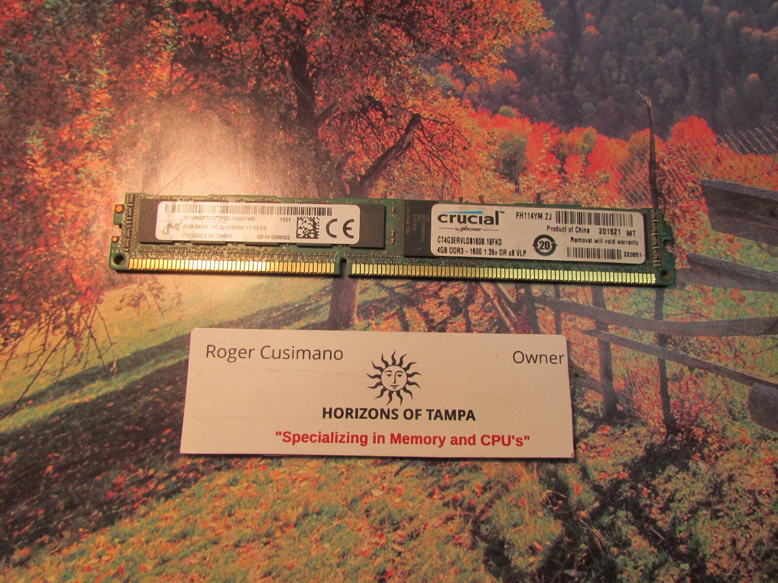 Память Micron DDR3 4GB RDIMM 1600 МТ/с (MT18KDF51272PDZ-1G6K1) — фото 2